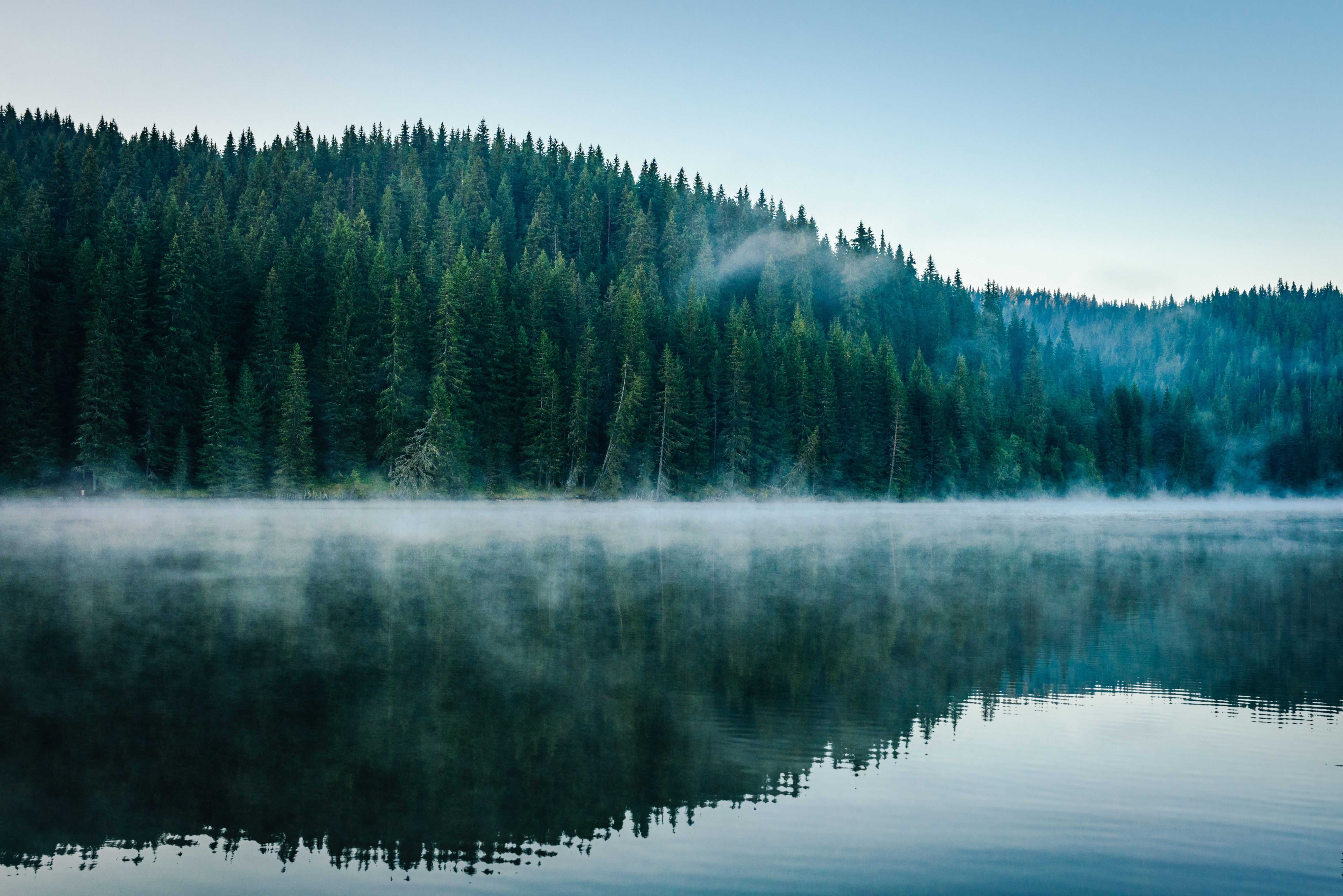 Foggy landscape, forrest and lake