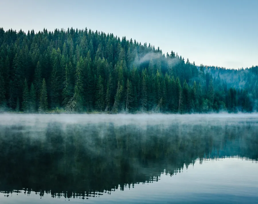 Foggy landscape, forrest and lake